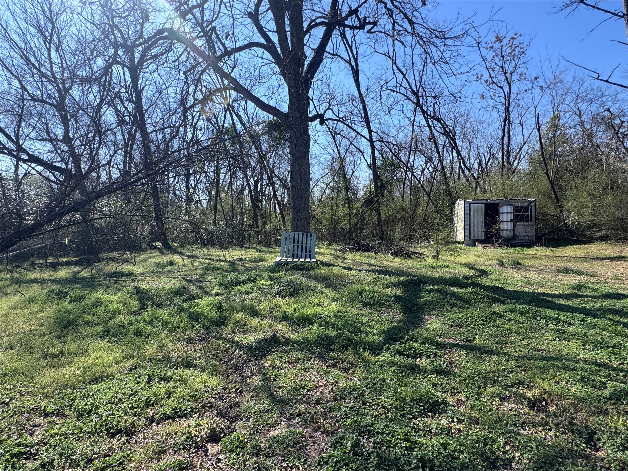 105 Rutherford Street Mount Vernon, TX 75457 - Photo 12 of 14