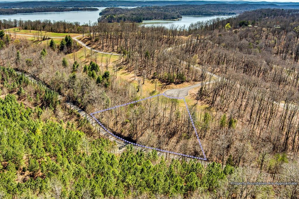 155 Smoke Rise Cove Spring City, TN 37381 - Photo 1 of 1 Gallery Image 1