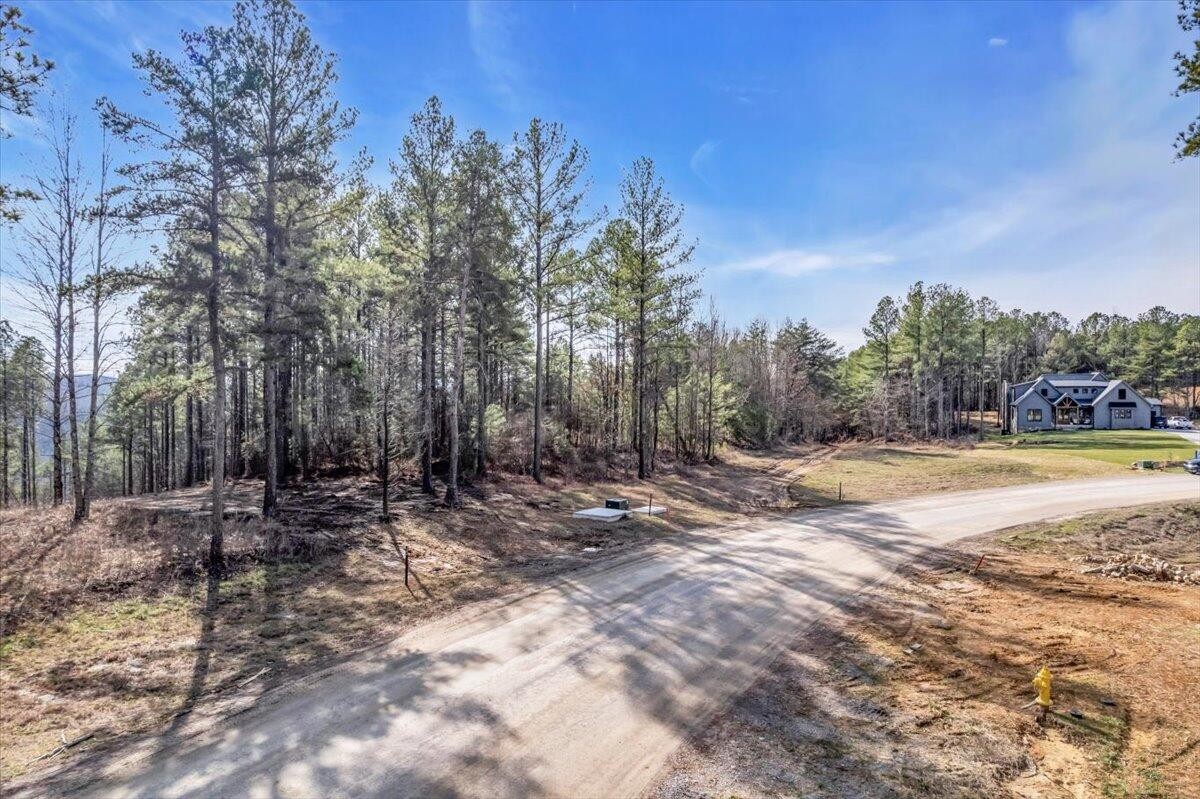 3970 Split Rail Way Guild, TN 37340 - Photo 3 of 20 Gallery Image 3