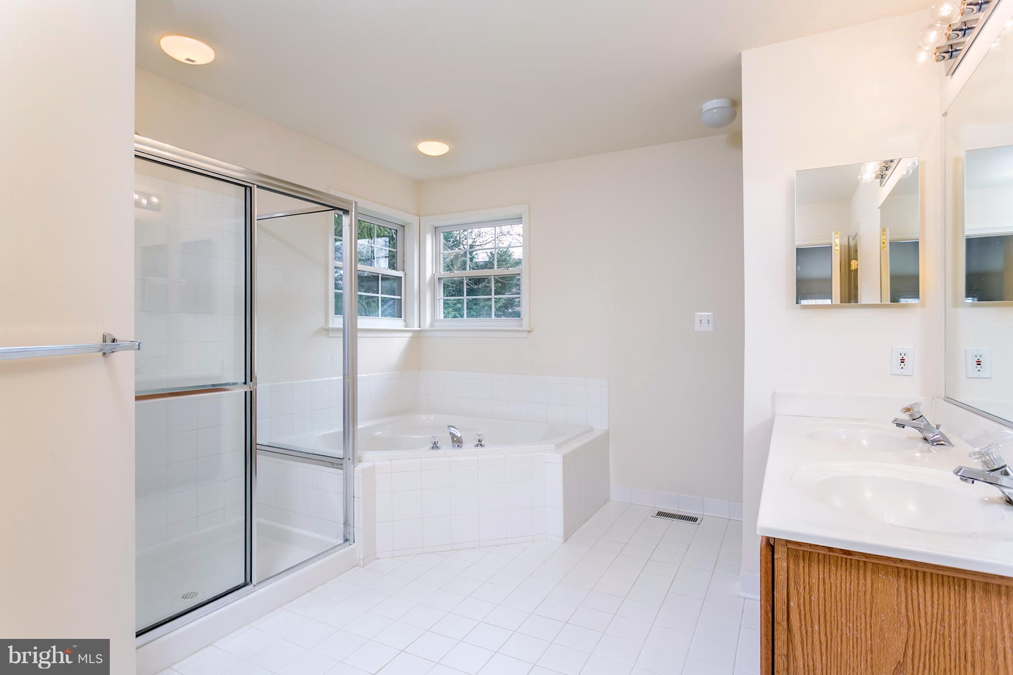 50 Old Hanover Road Reisterstown, MD 21136 - Photo 14 of 25 Super bath to relax and enjoy