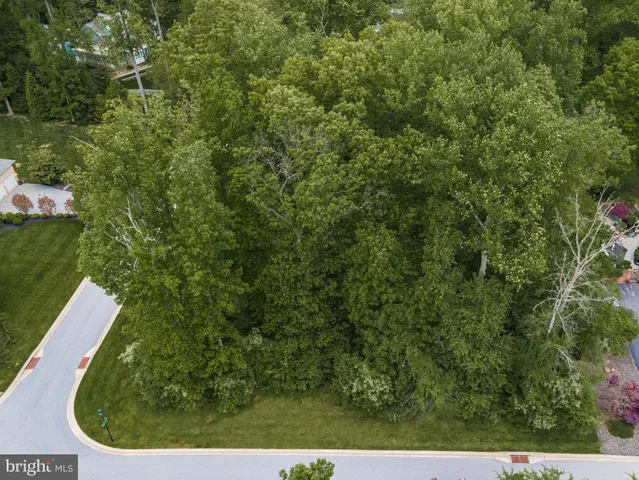 a view of a small yard