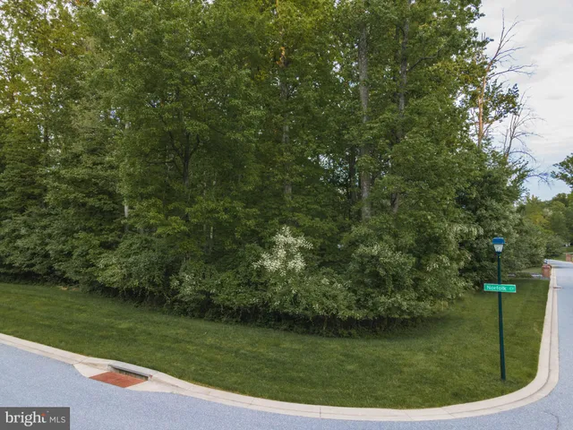 a view of a golf course with a park