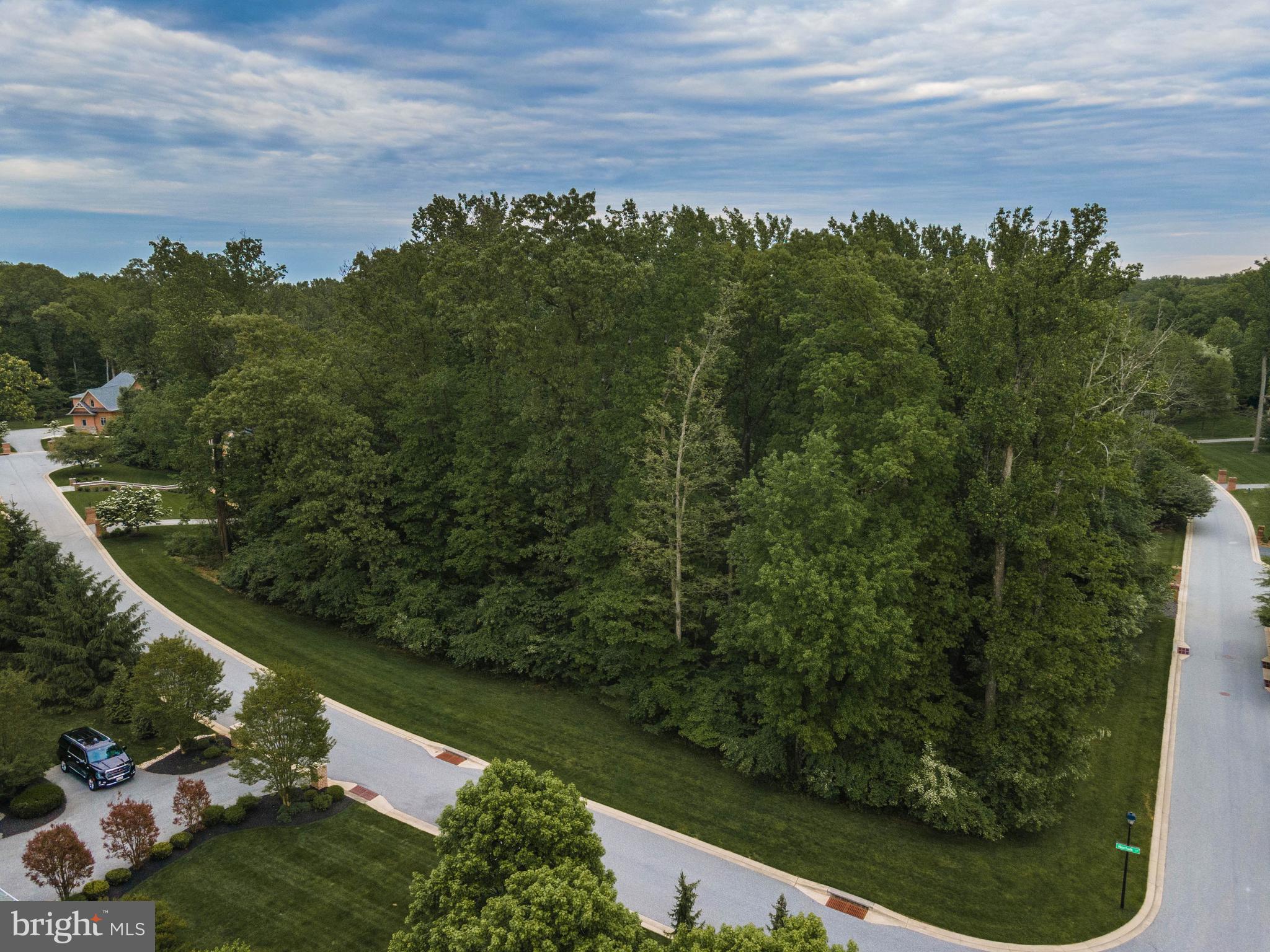 1 Norfolk Court Reisterstown, MD 21136 - Photo 7 of 16 a view of a garden