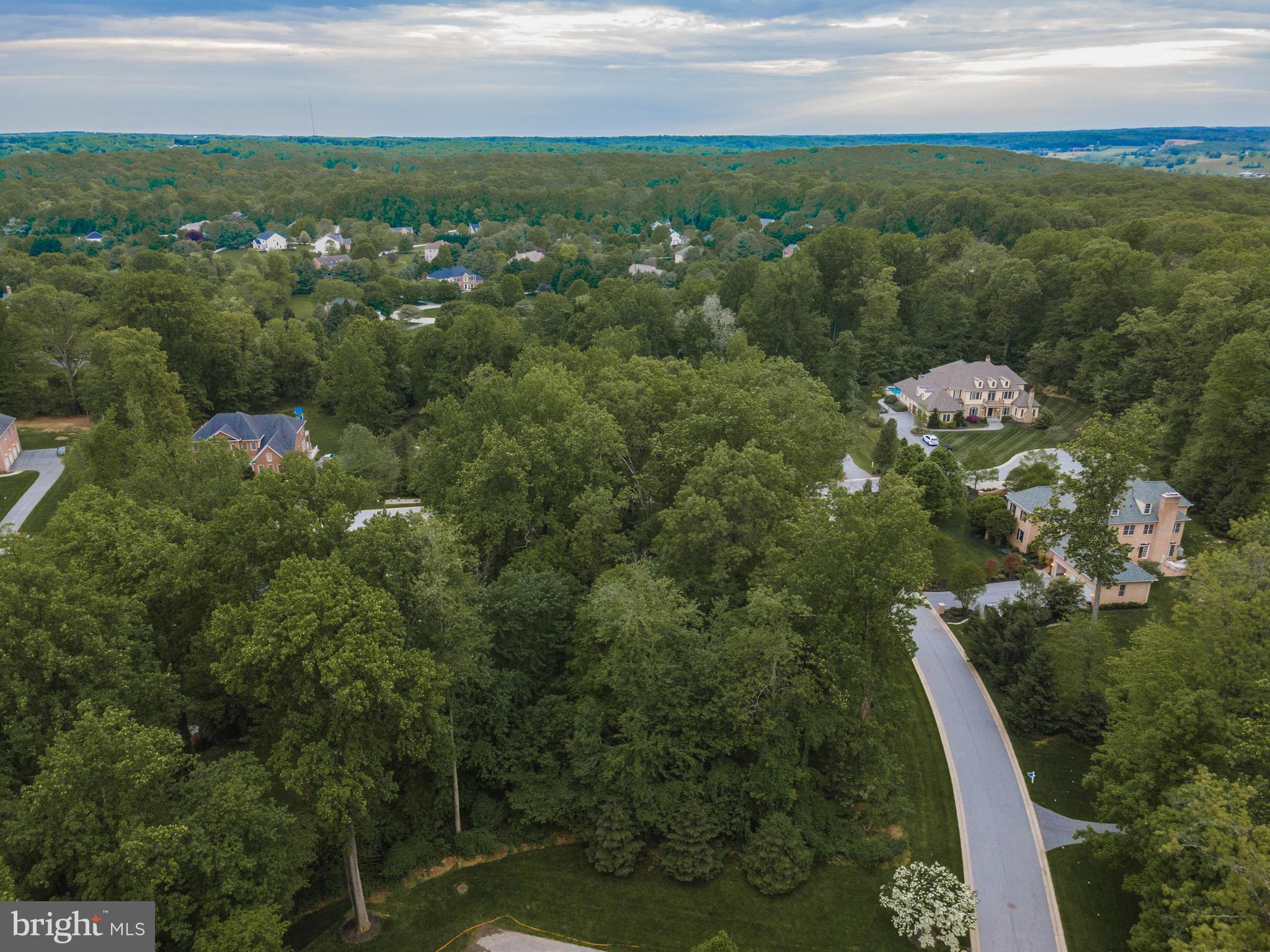1 Norfolk Court Reisterstown, MD 21136 - Photo 9 of 16 a view of a city with lush green forest