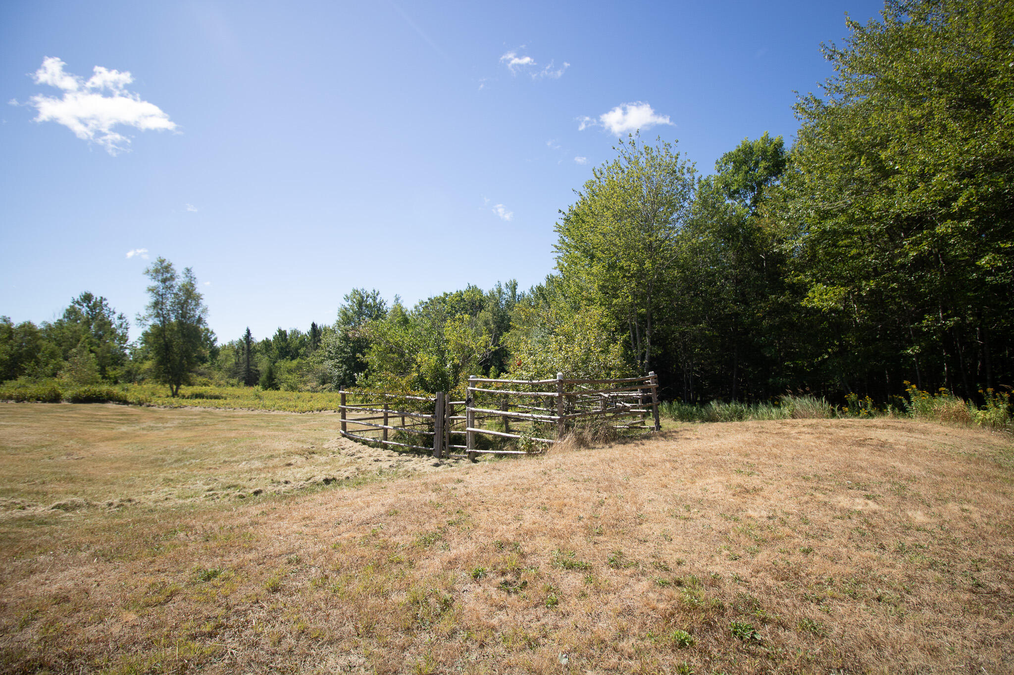 141 Mill River Road Harrington, ME 04643 - Photo 12 of 32 IMG_6847