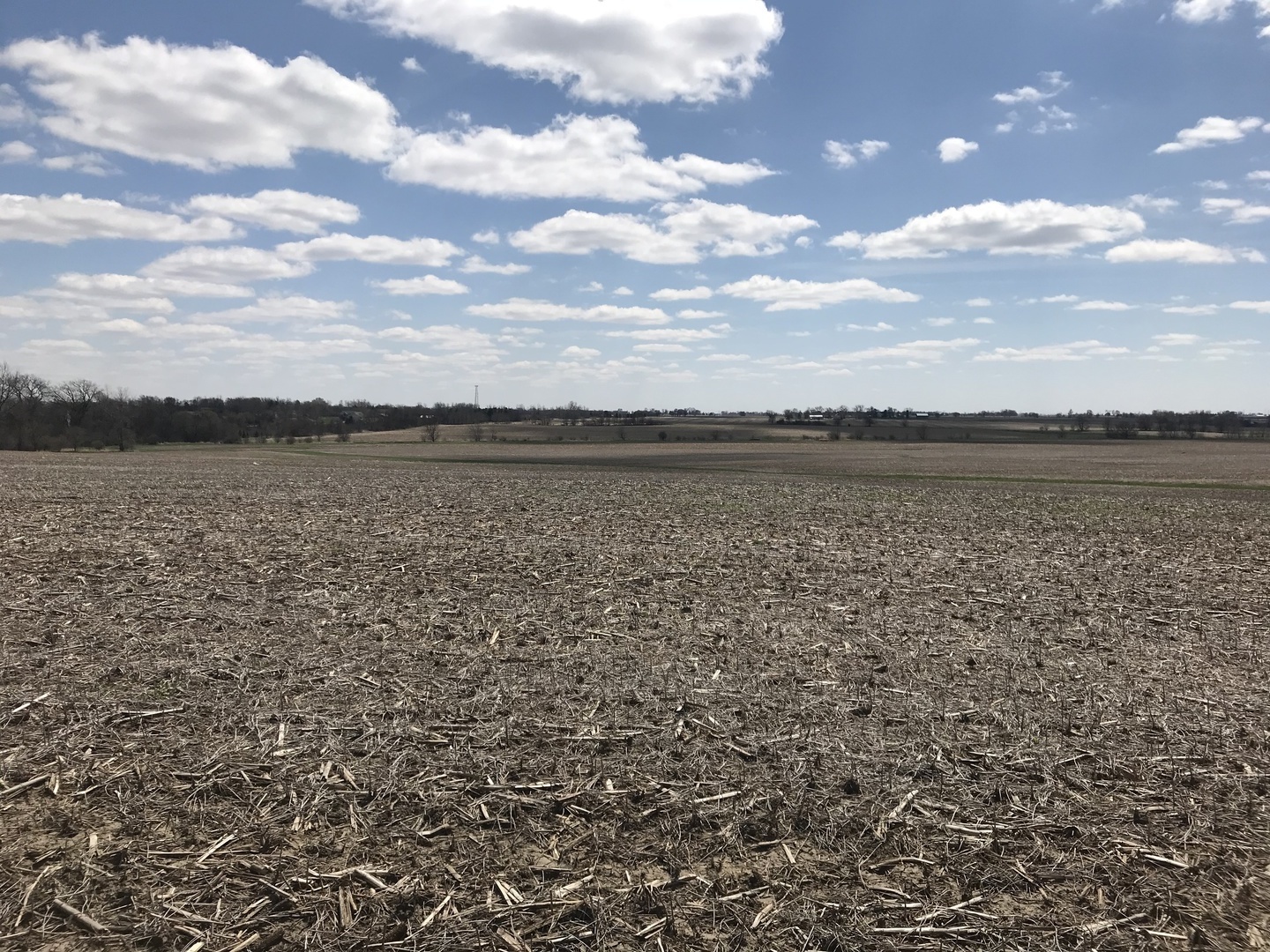 9305 West Bruns Road Monee, IL 60449 - Photo 1 of 4 a view of an ocean beach