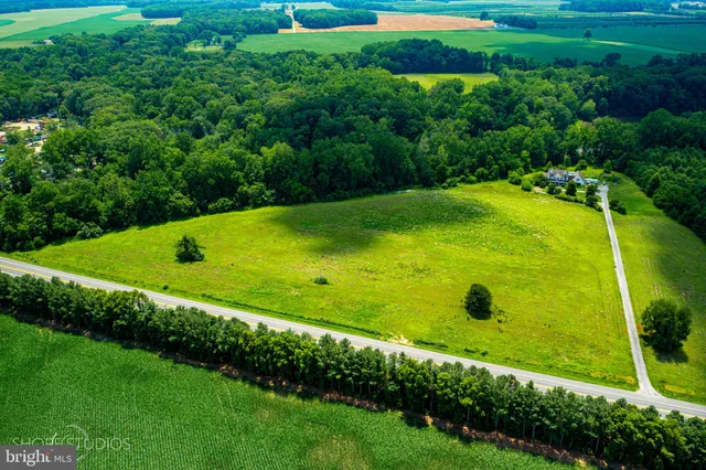 a view of a large yard with large trees