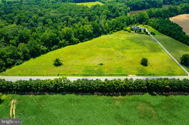 a view of a back yard with green space