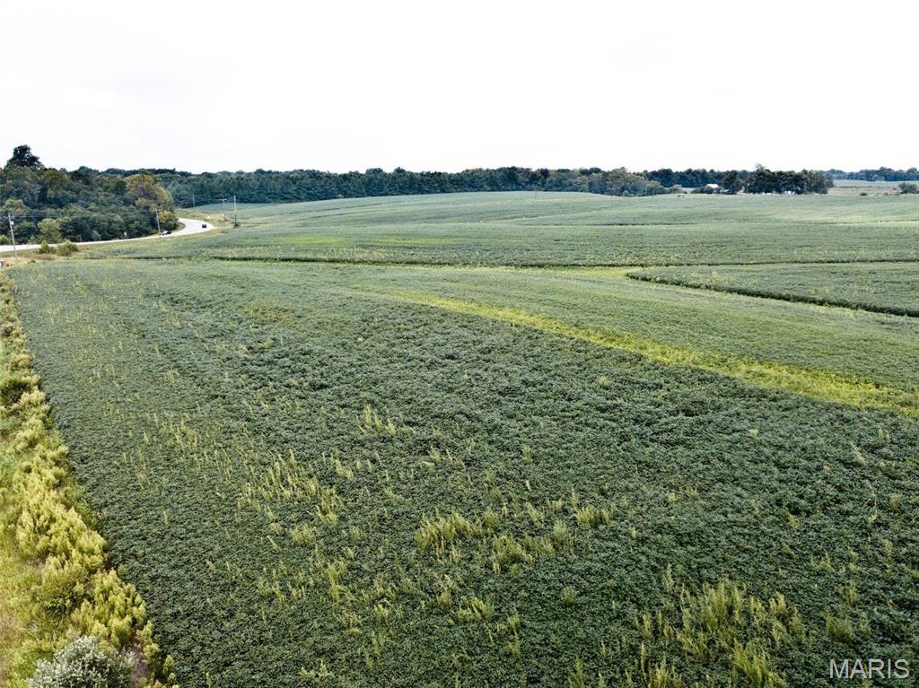 7735 State Route 143 Edwardsville, IL 62025 - Photo 5 of 8