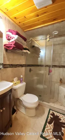 a bathroom with a toilet and a shower