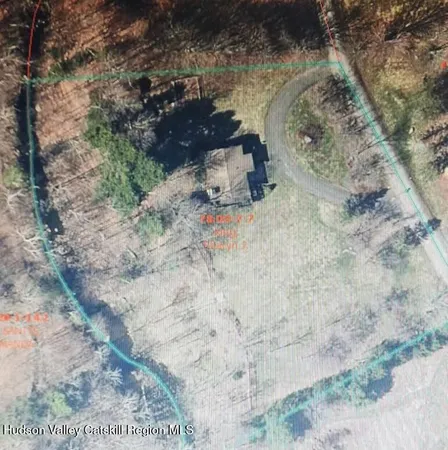 a view of a dry yard with trees