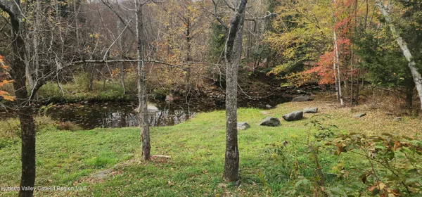 a view of yard with green space