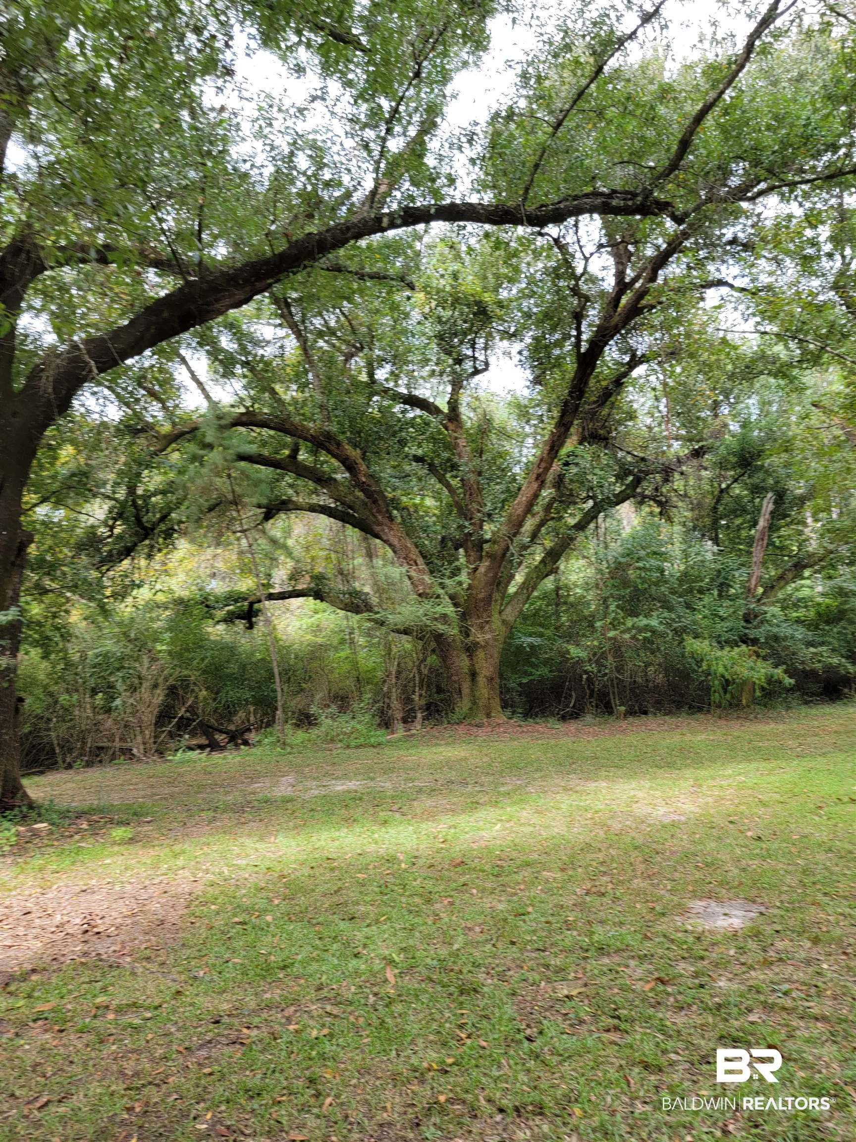 17505 Hansel Hodges Road Elberta, AL 36530 - Photo 4 of 7