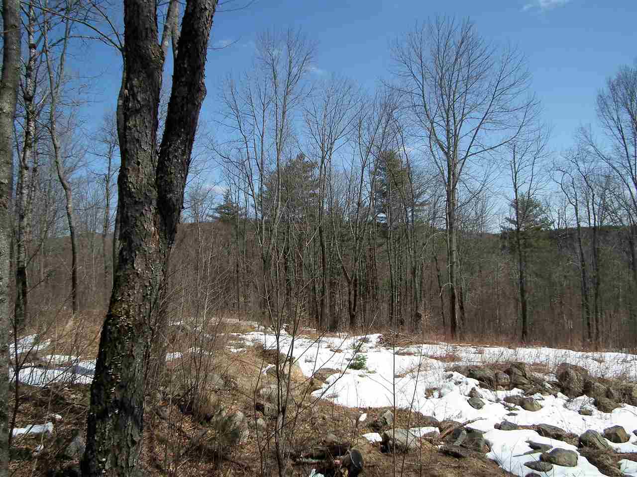 0 Morgan Road, Unit 14 Newport, NH 03773 - Photo 4 of 7