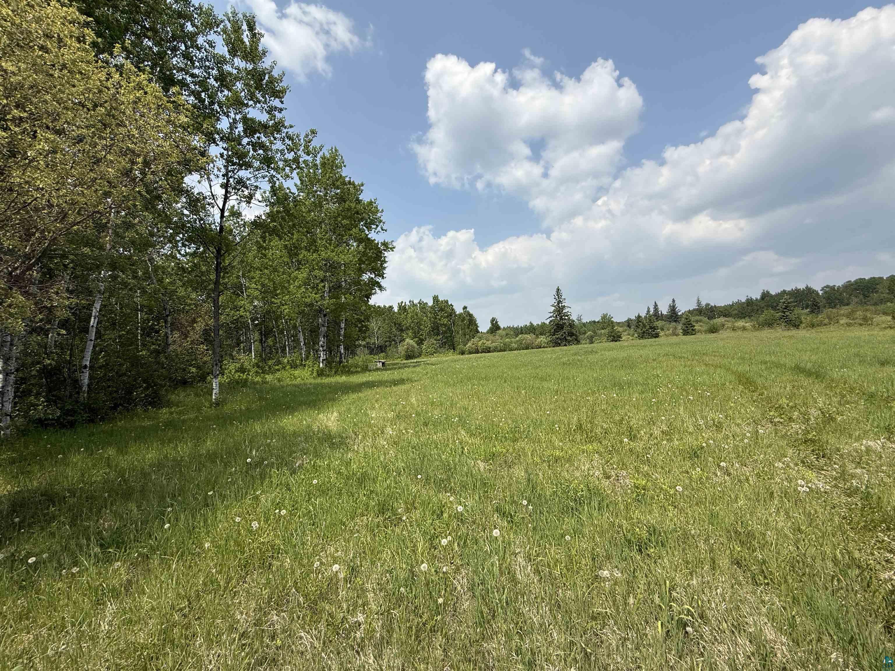 Tbd Samuelson Road Angora, MN 55703 - Photo 35 of 43 View of nature featuring rural landscape