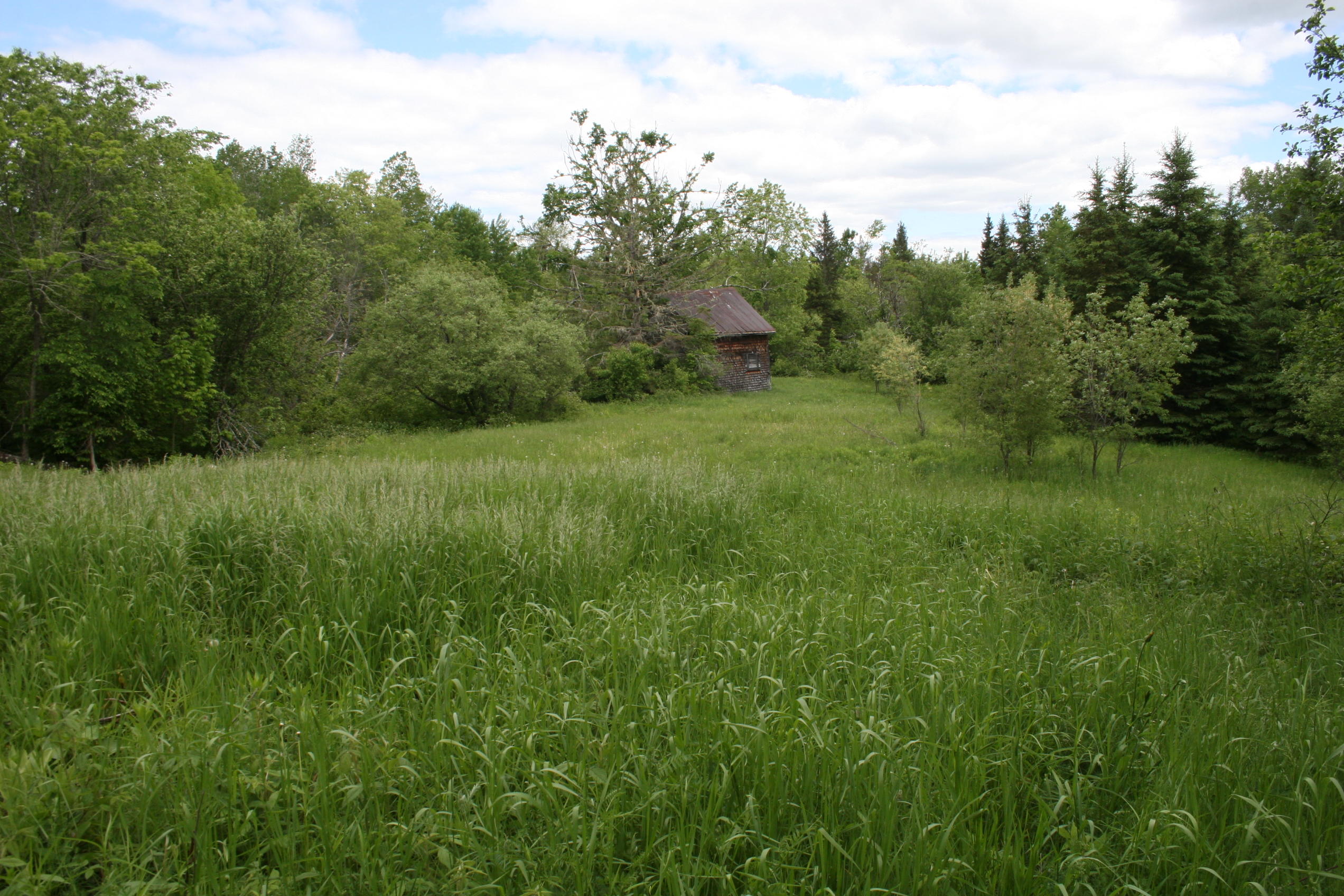 0 Roix Road New Limerick, ME 04761 - Photo 1 of 22 IMG_3601