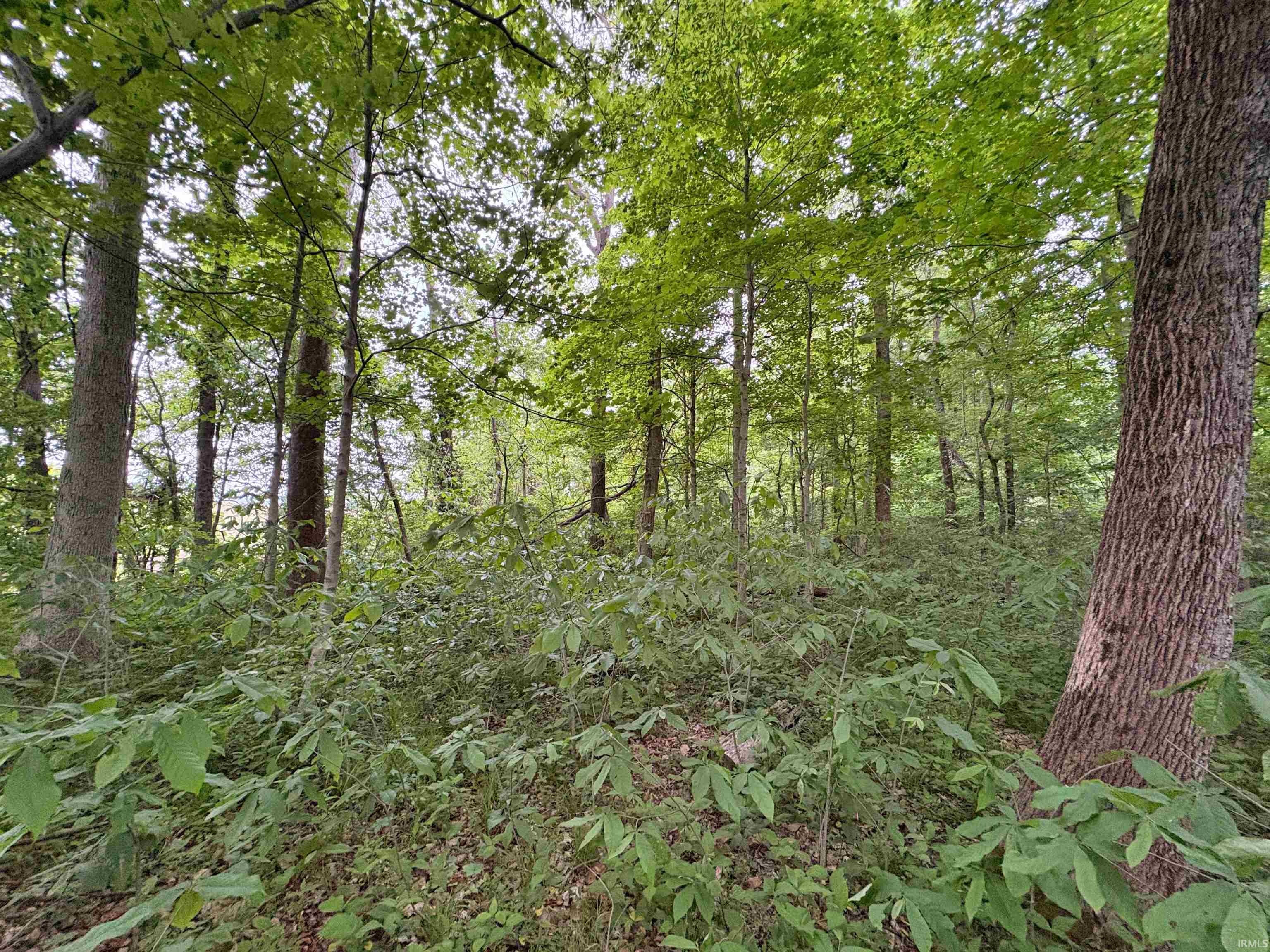 0 North Portersville Road Jasper, IN 47546 - Photo 10 of 23 Gallery Image 10