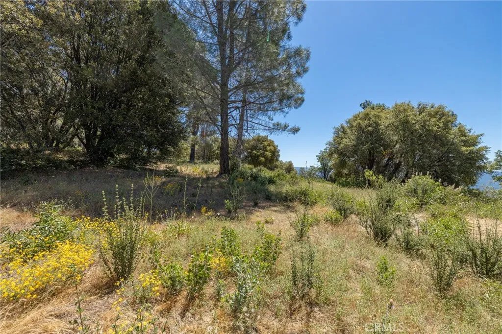 149 Old Yosemite Road Oakhurst, CA 93644 - Photo 60 of 74 Gallery Image 60