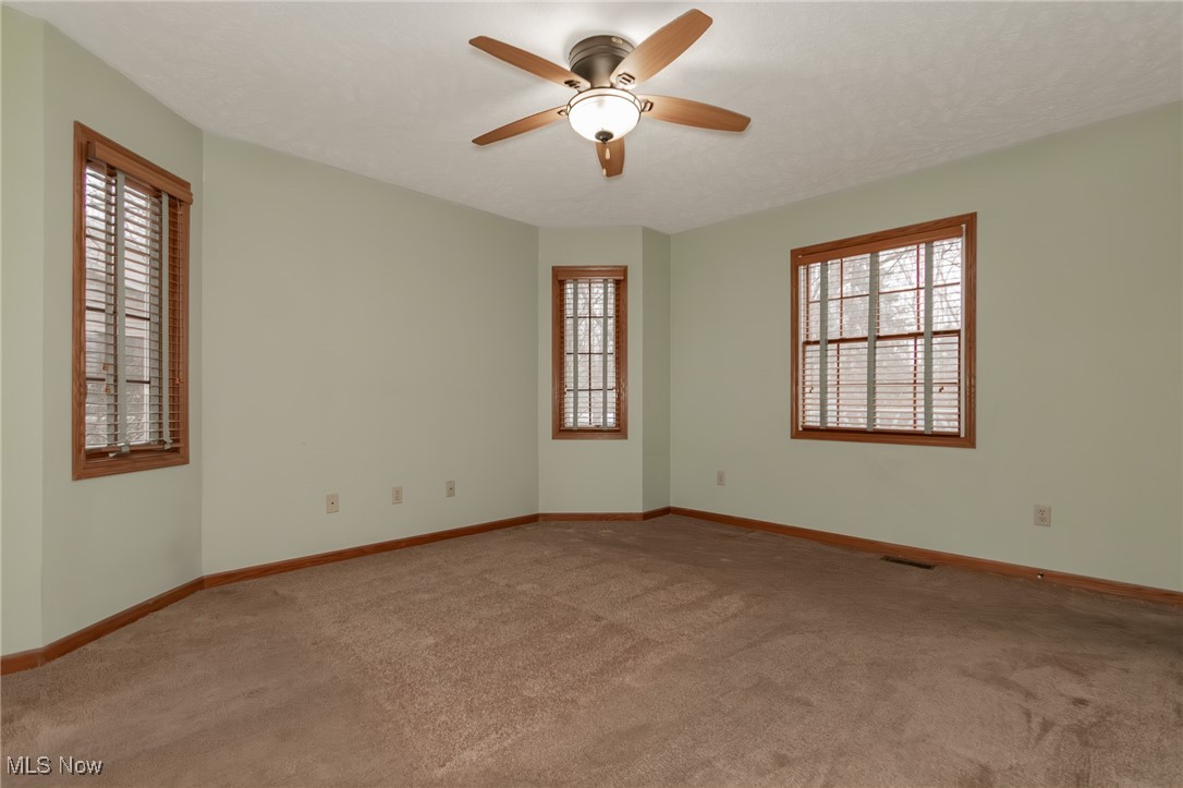 4815 South Ridge Road Perry, OH 44081 - Photo 22 of 48 Carpeted spare room featuring healthy amount of natural light and a ceiling fan