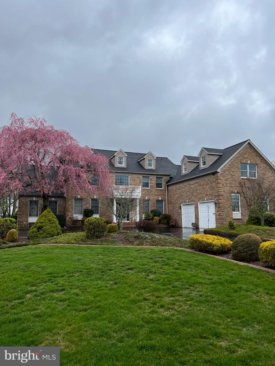 8 Carney Way Hamilton, NJ 08620 - Photo 65 of 66 Charming brick home with blooming trees.
