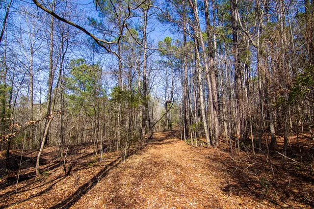 $354,600 | 0 Kings Gap Road, Hamilton, GA 31811