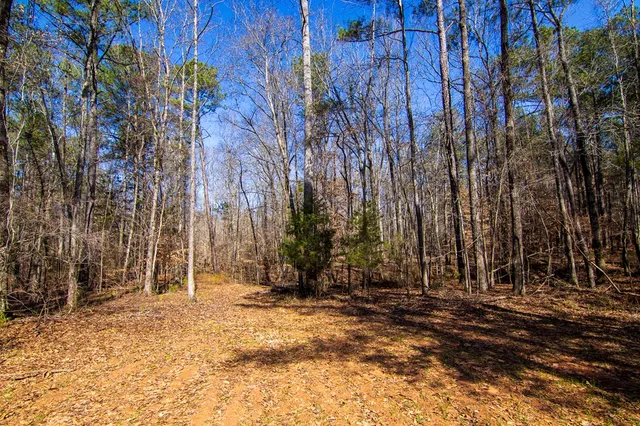 $354,600 | 0 Kings Gap Road, Hamilton, GA 31811