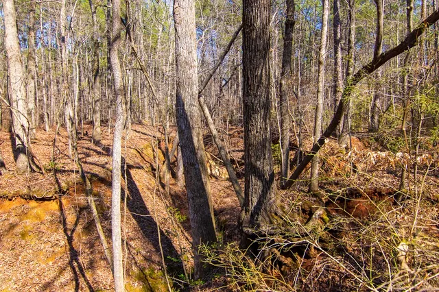 $354,600 | 0 Kings Gap Road, Hamilton, GA 31811