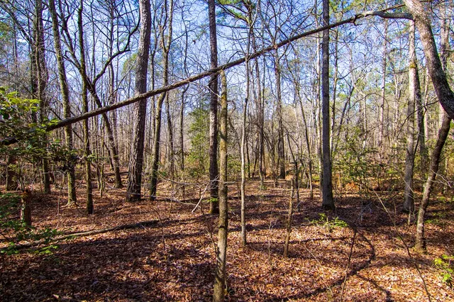 $354,600 | 0 Kings Gap Road, Hamilton, GA 31811