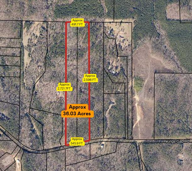 0 Kings Gap Road Hamilton, GA 31811 - Photo 19 of 19