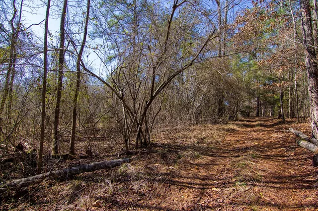 $354,600 | 0 Kings Gap Road, Hamilton, GA 31811