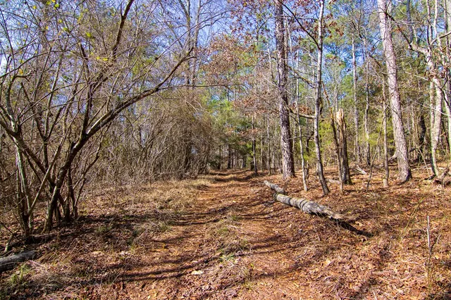 $354,600 | 0 Kings Gap Road, Hamilton, GA 31811