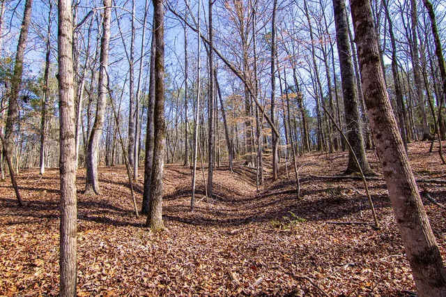 $354,600 | 0 Kings Gap Road, Hamilton, GA 31811