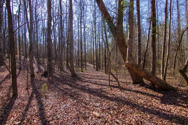 $354,600 | 0 Kings Gap Road, Hamilton, GA 31811