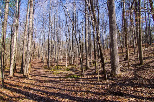 $354,600 | 0 Kings Gap Road, Hamilton, GA 31811