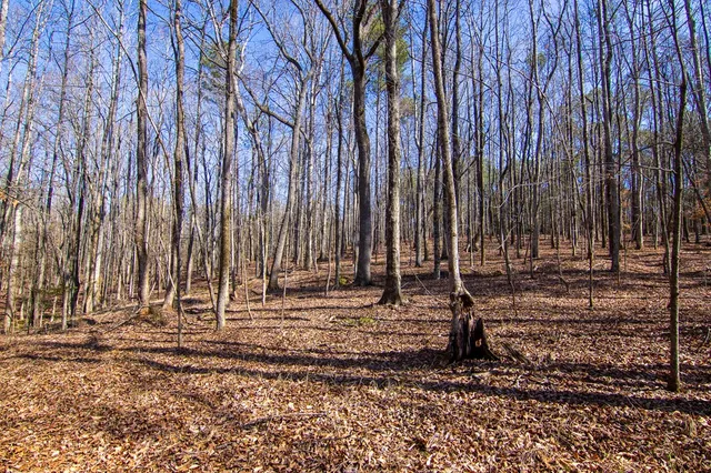 $354,600 | 0 Kings Gap Road, Hamilton, GA 31811