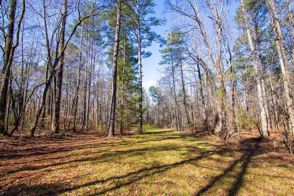 0 Kings Gap Road Hamilton, GA 31811 - Photo 10 of 19