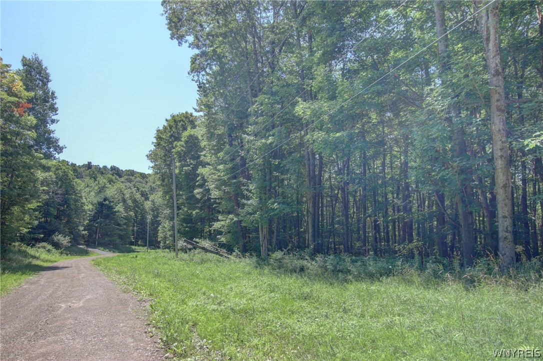 Dublin Hills Rd Road Salamanca, NY 14779 - Photo 21 of 24 Gallery Image 21