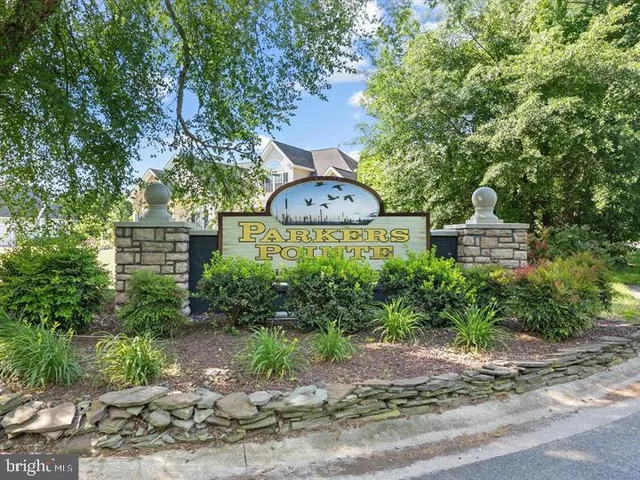 a view of a back yard