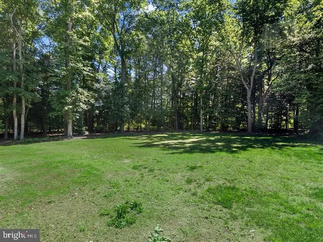 a view of outdoor space with deck and yard