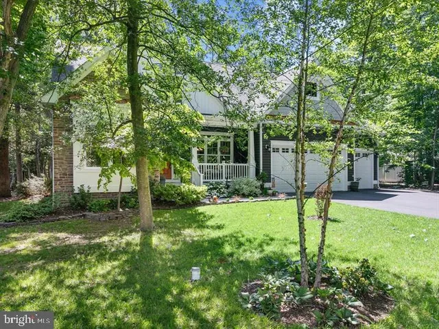 a view of a yard with plants and trees