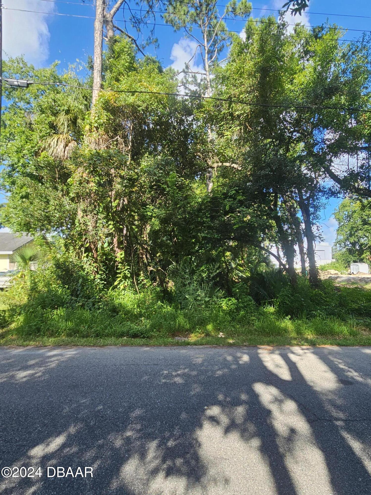 0 Palm Road Ormond Beach, FL 32174 - Photo 2 of 5 a view of a yard