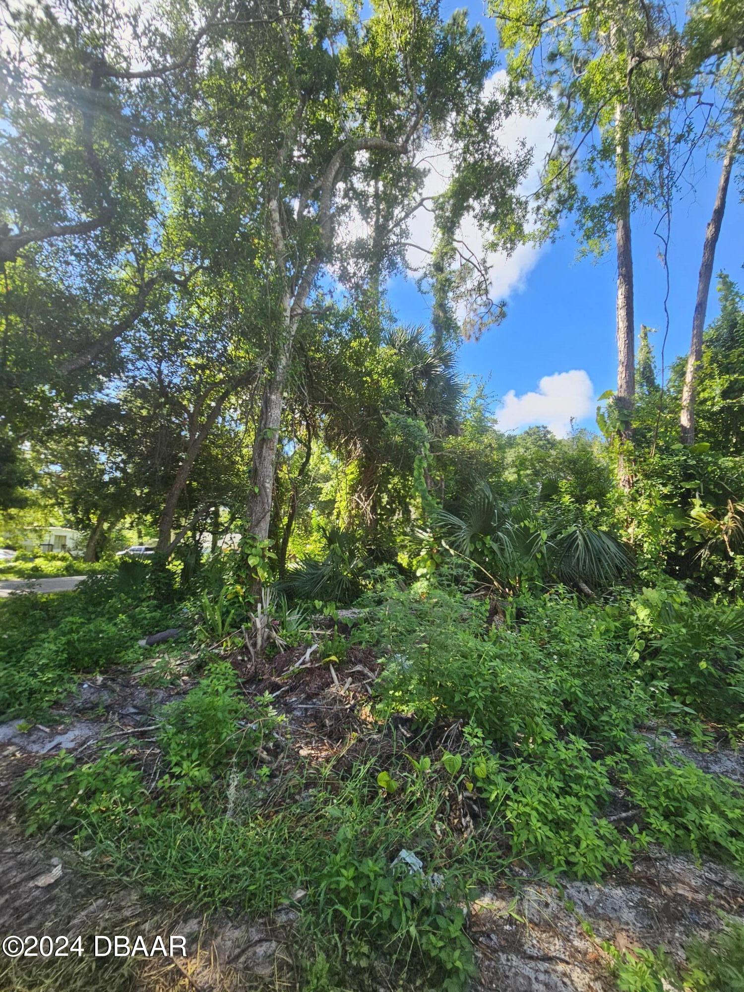 0 Palm Road Ormond Beach, FL 32174 - Photo 3 of 5 a view of a garden