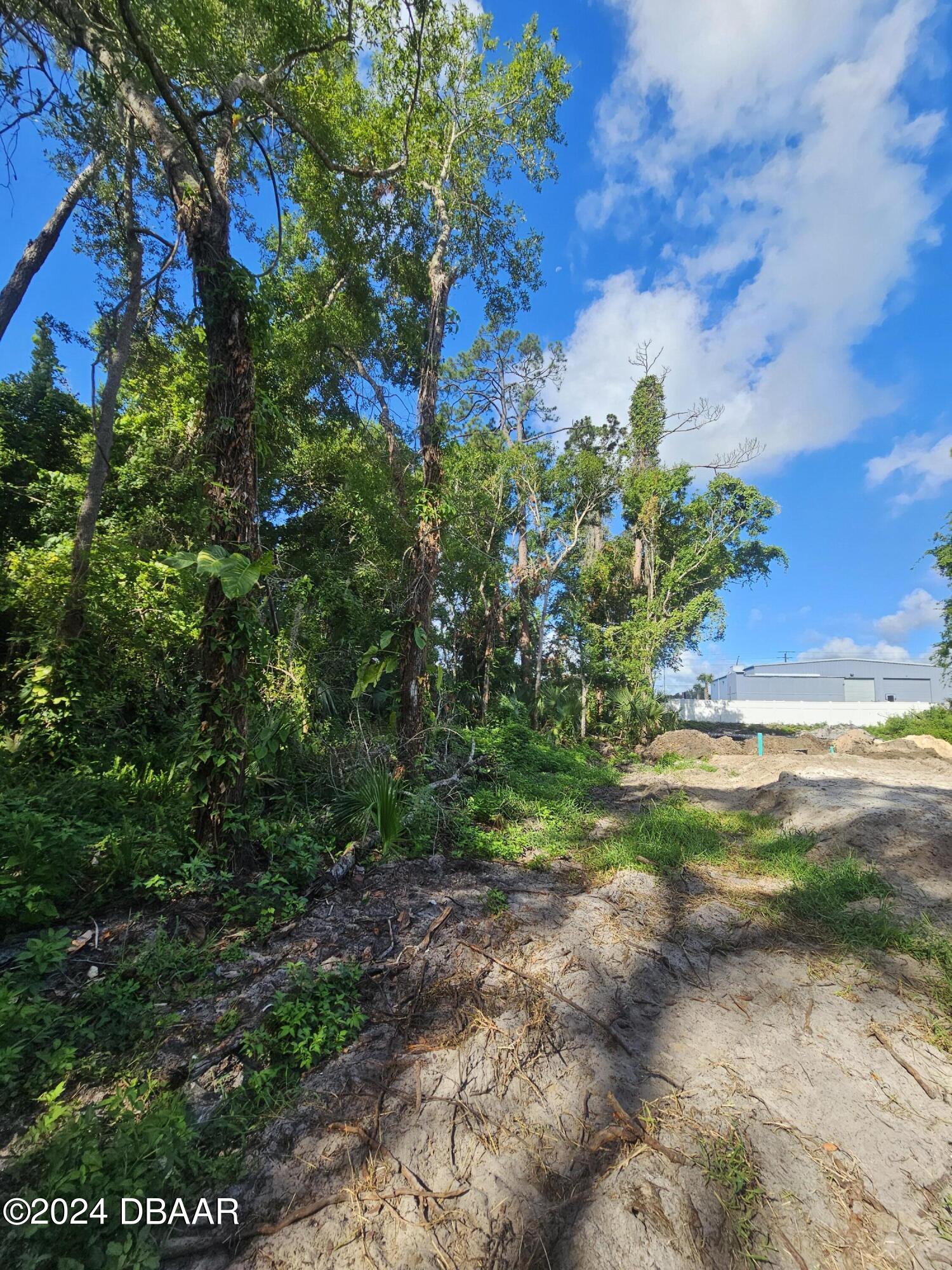 0 Palm Road Ormond Beach, FL 32174 - Photo 4 of 5 a view of a yard with plants and a tree