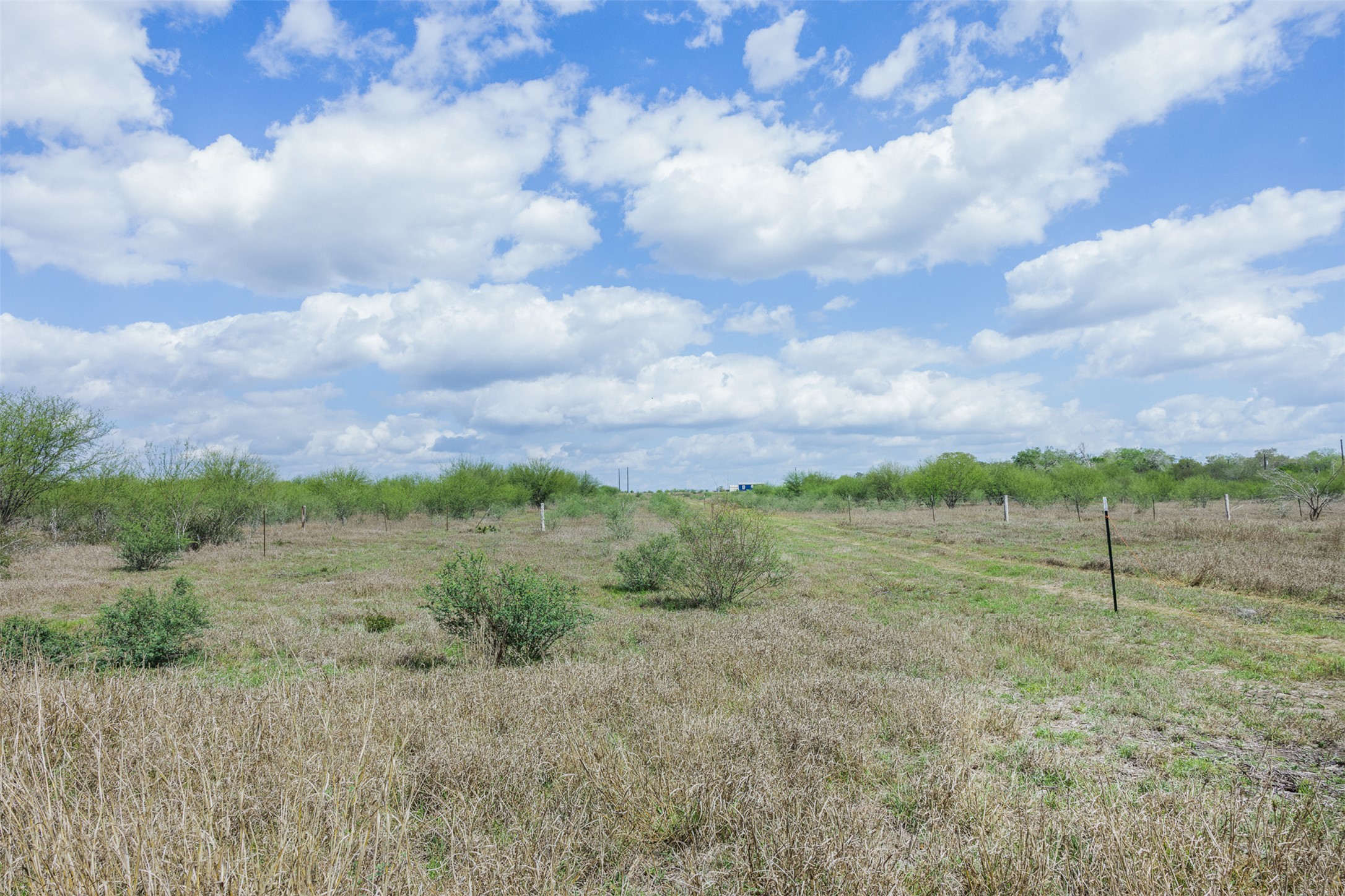 20.02-acres Concrete-Edgar Road Cuero, TX 77954 - Photo 18 of 20 View of nature with rural landscape