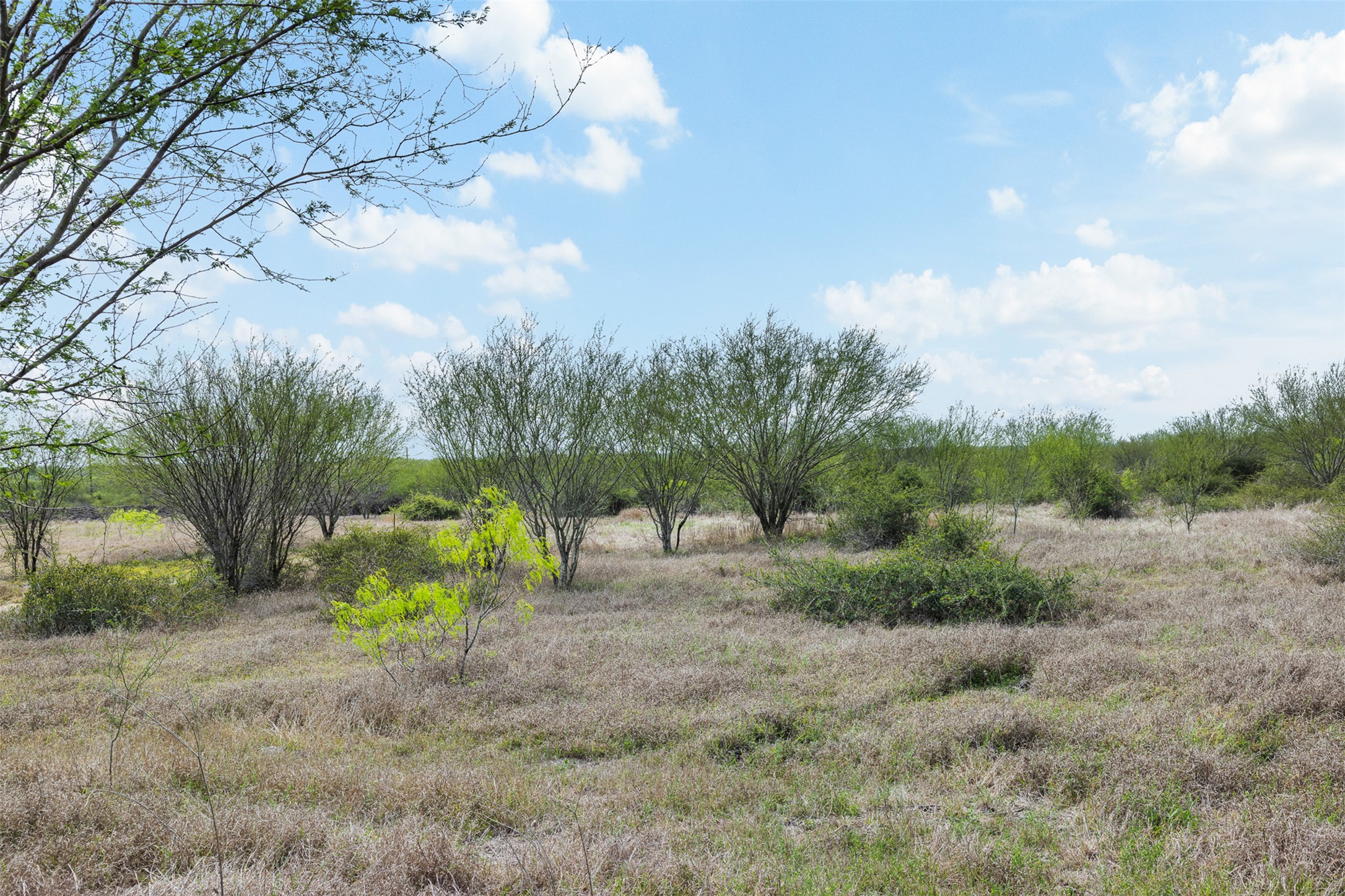 20.02-acres Concrete-Edgar Road Cuero, TX 77954 - Photo 19 of 20 View of local wilderness featuring rural landscape