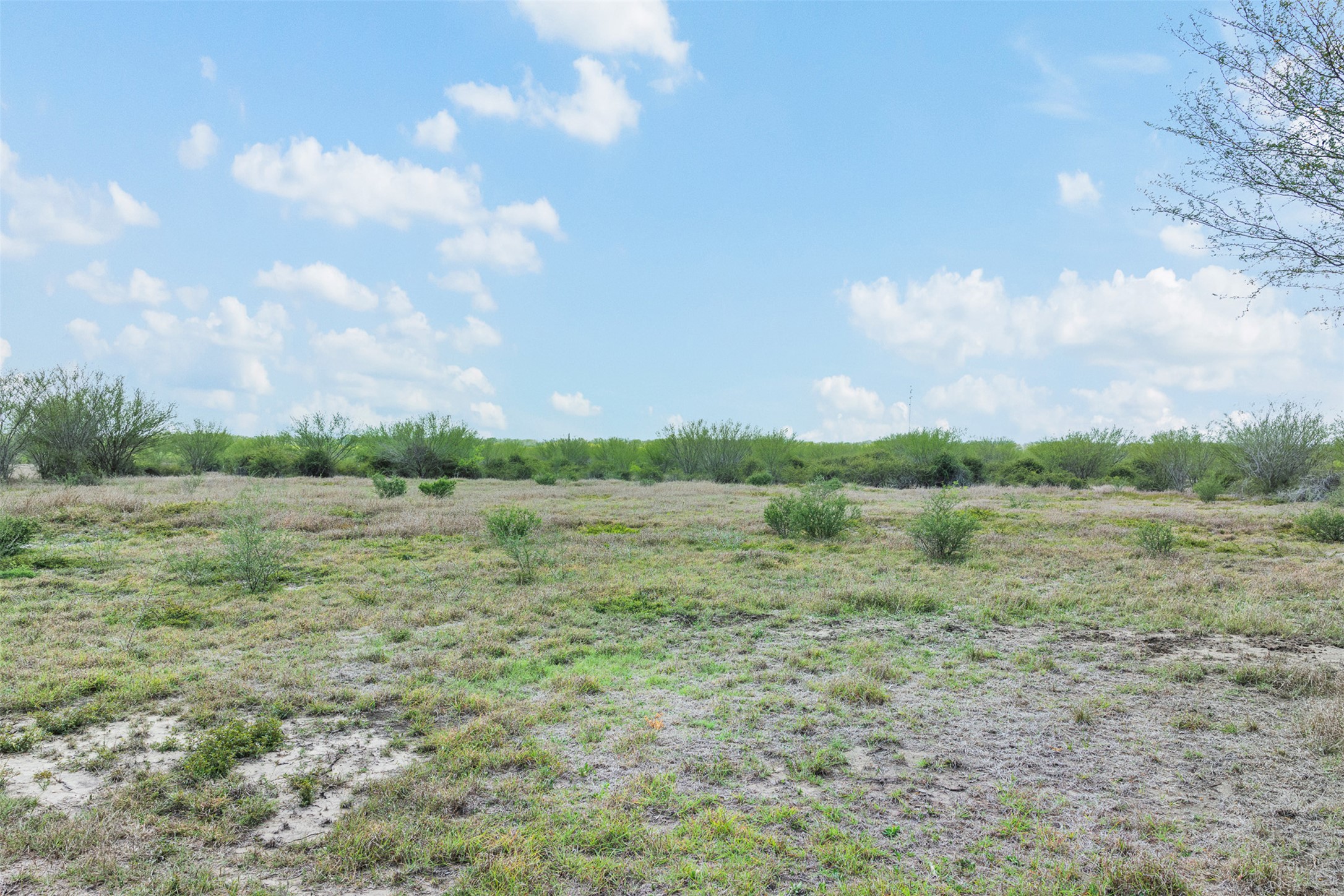 20.02-acres Concrete-Edgar Road Cuero, TX 77954 - Photo 20 of 20 View of undeveloped land featuring rural landscape