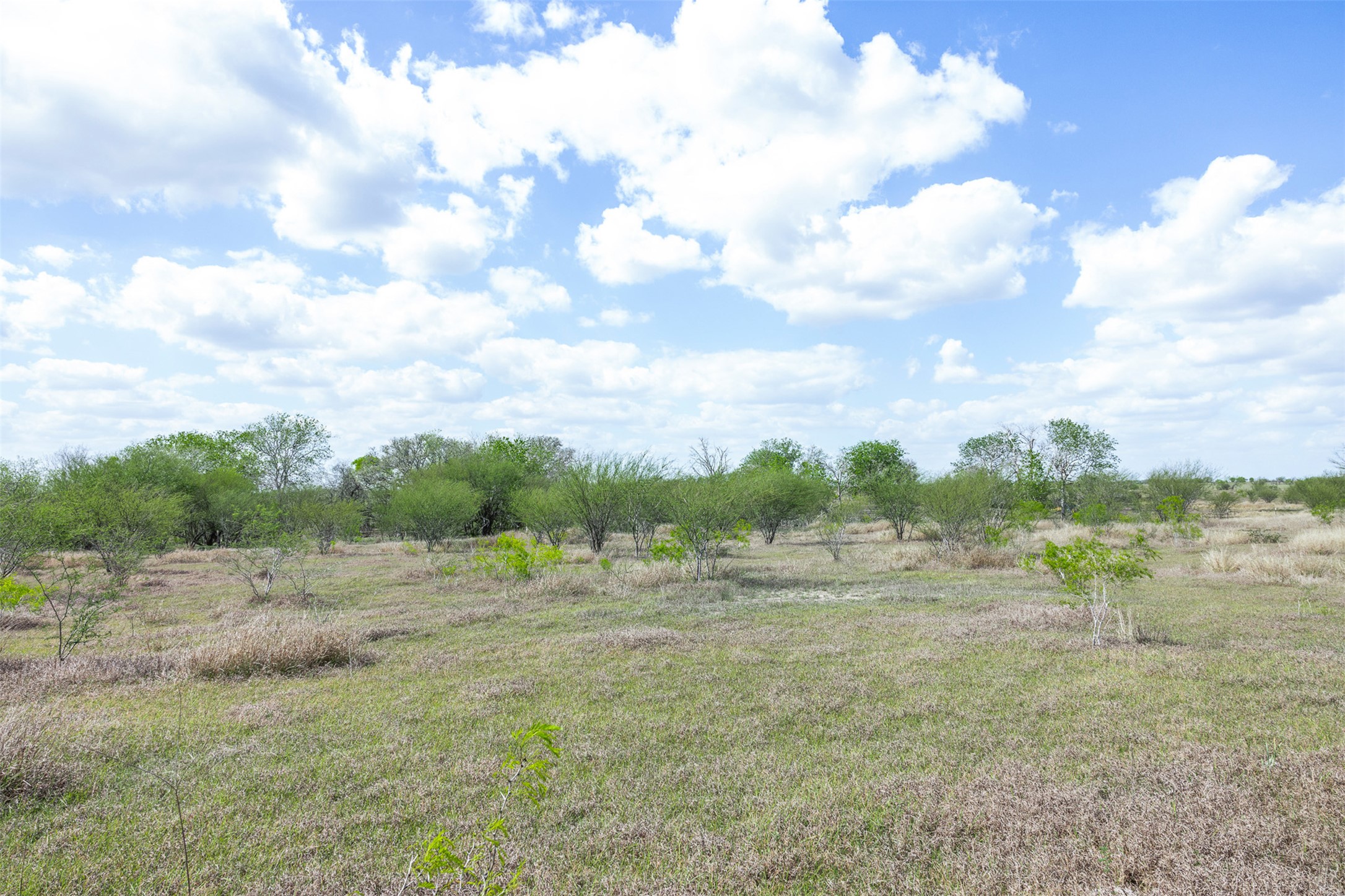 20.02-acres Concrete-Edgar Road Cuero, TX 77954 - Photo 2 of 20 View of yard with a view of countryside