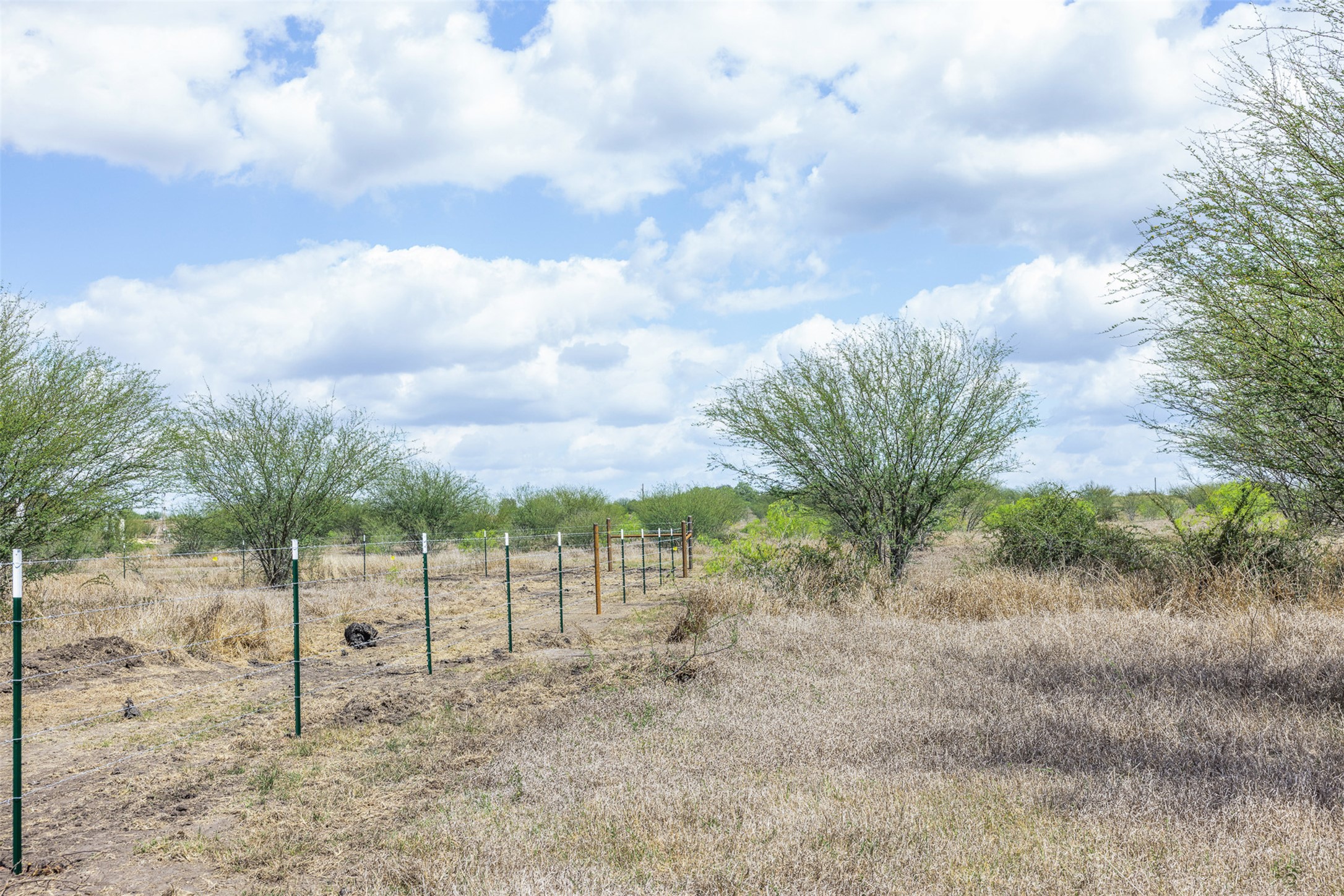 20.02-acres Concrete-Edgar Road Cuero, TX 77954 - Photo 3 of 20 View of yard featuring a view of countryside
