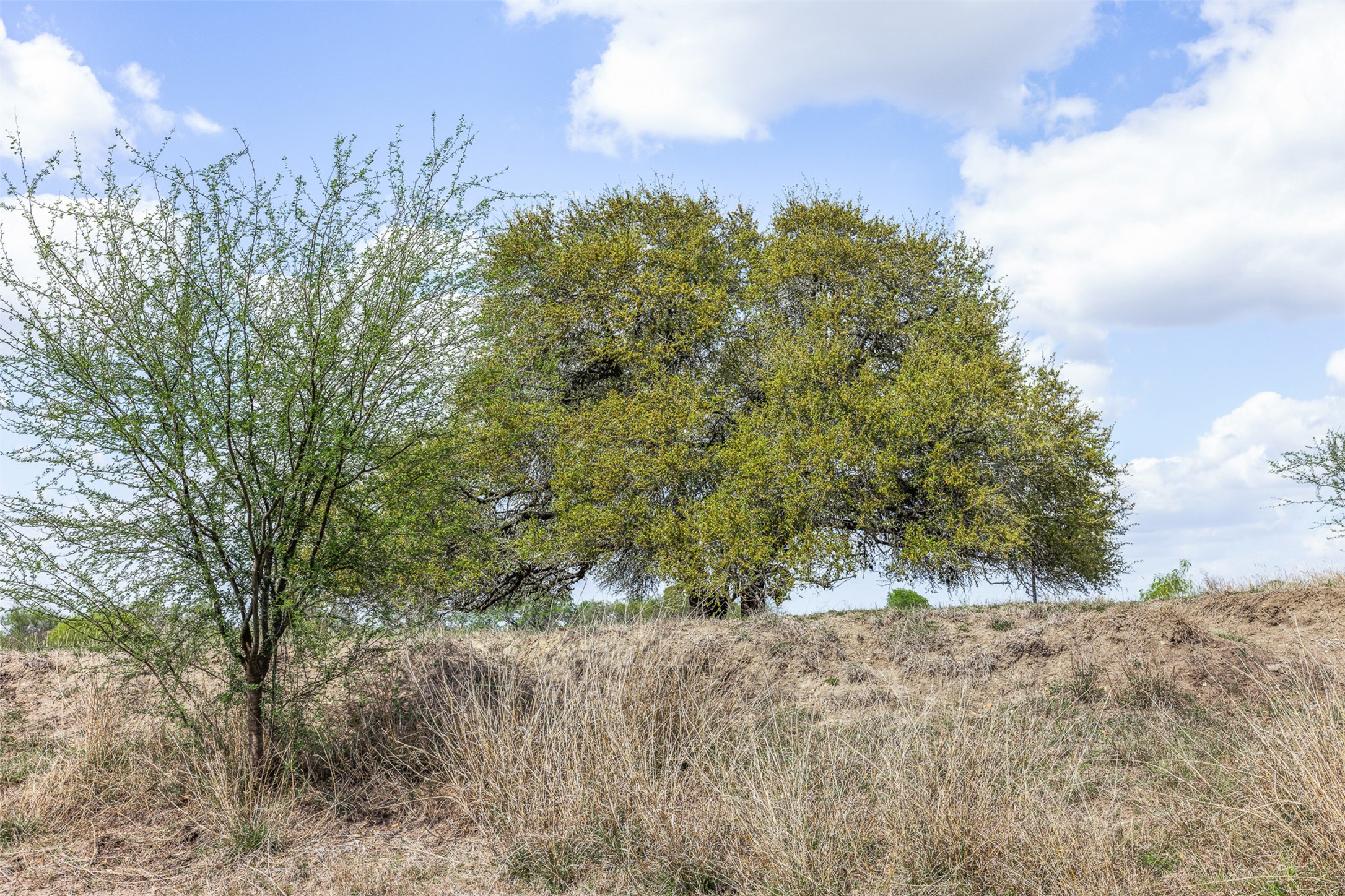 20.02-acres Concrete-Edgar Road Cuero, TX 77954 - Photo 5 of 20 View of undeveloped land with rural landscape