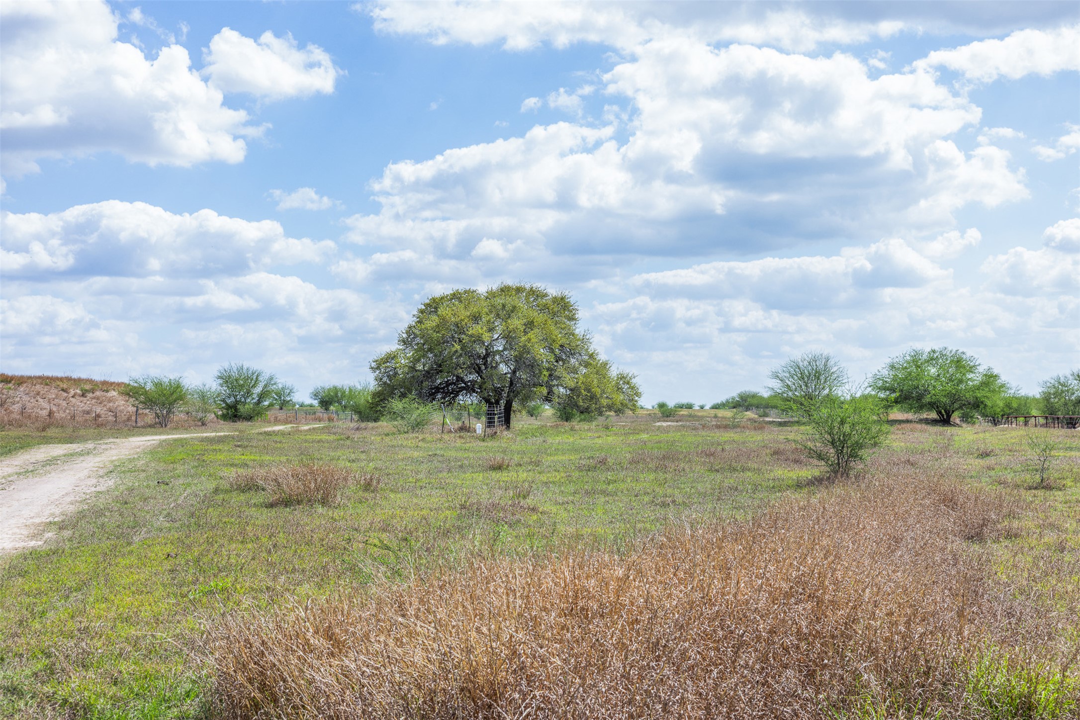20.02-acres Concrete-Edgar Road Cuero, TX 77954 - Photo 6 of 20 View of undeveloped land with rural landscape